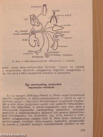 A gyógynövényektől a megtervezett gyógyszerekig