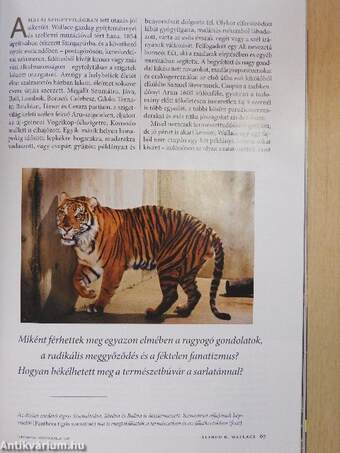 National Geographic Magyarország 2008. december