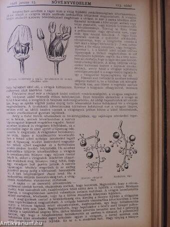 Növényvédelem 1928. január-december + 2 különszám