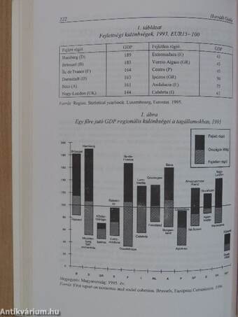 EU-integráció - Önkormányzatok I.