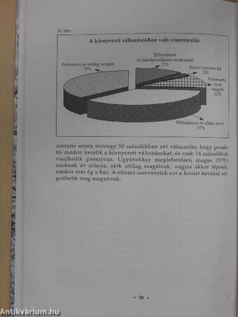 Sikeres vállalkozások