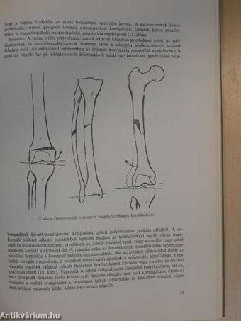 Az orthopaedia tankönyve