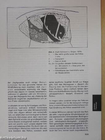 Die Ernährung des Rehwildes im Jahresablauf