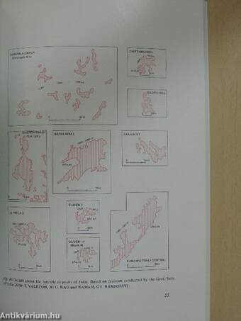 Computerized Forecast of Laterite-Bauxites of Plateau and Peneplain Type