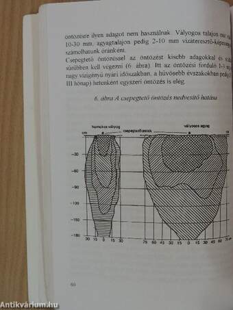 Tápoldatozás a kertészeti termesztésben