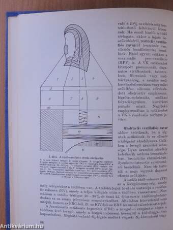 Belgyógyászati diagnosztika