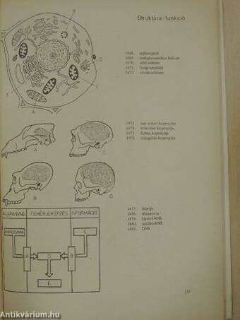 Biológiai korrepetitor I-II.