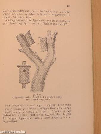 Magyarország madárvédelmének története, fejlődése és jelenlegi állapota