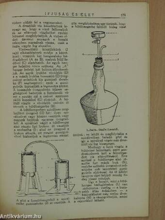 Ifjúság és Élet 1936. január 20.