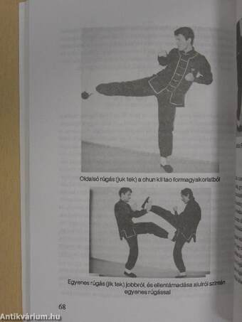 Wing Chun kung fu