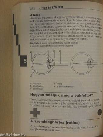 A férfi test kézikönyve