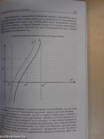 Pénzügypolitika az ezredfordulón