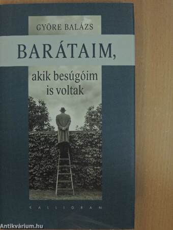 Barátaim, akik besúgóim is voltak