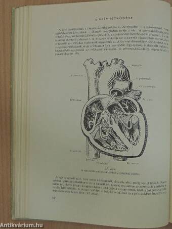 Functionalis anatomia