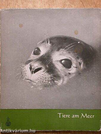 Tiere am Meer