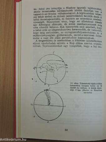 Viselkedés, magatartás az állatvilágban