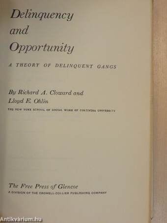 Delinquency and Opportunity