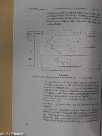 Szervezeti viselkedés II.