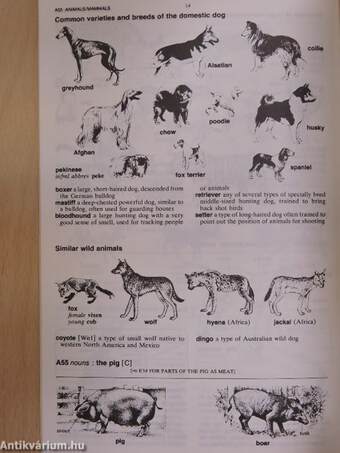 Longman Lexicon of Contemporary English