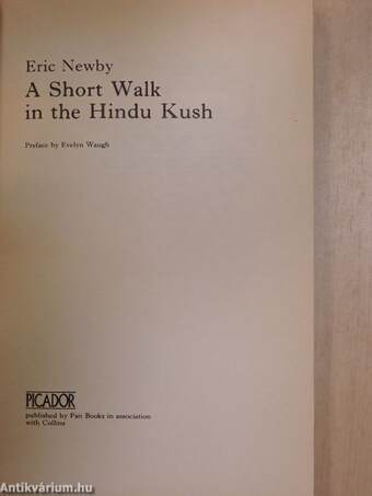 A Short Walk in the Hindu Kush