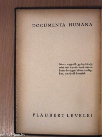 Gustave Flaubert levelei