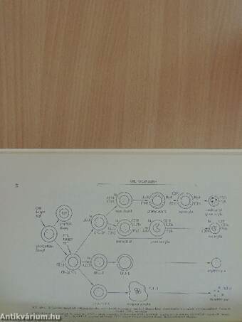 Az orvostudomány aktuális problémái 61.