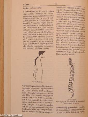 Természetgyógyászati kislexikon