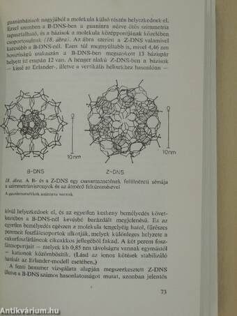 A biológia aktuális problémái 26.