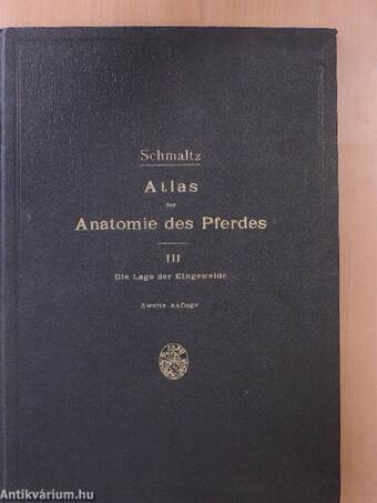 Atlas der Anatomie des Pferdes III.