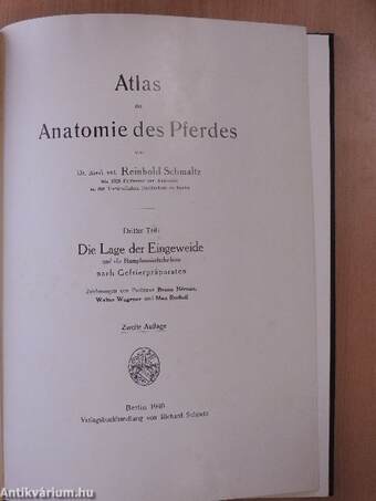 Atlas der Anatomie des Pferdes III.