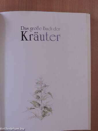 Das große Buch der Kräuter