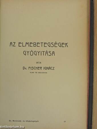 Az idegbetegségek gyógyitása/Az elmebetegségek gyógyitása