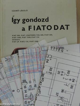 Így gondozd a Fiatodat