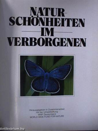 Naturschönheiten im Verborgenen