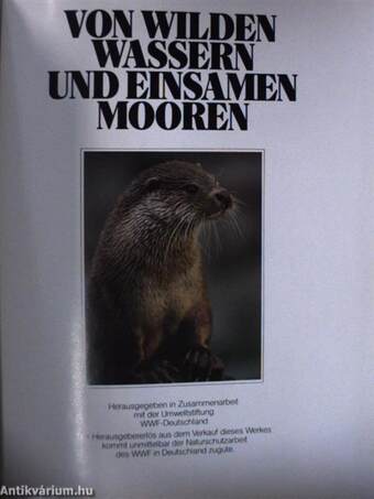 Von Wilden Wassern und Einsamen Mooren