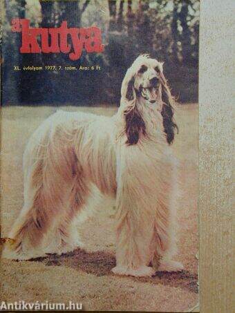 A kutya 1977/7.