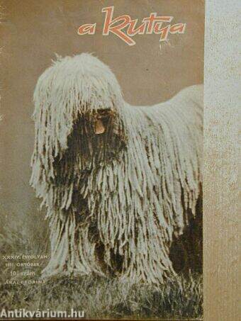 A kutya 1971. október
