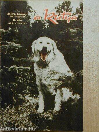 A kutya 1975. december