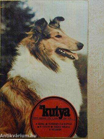 A kutya 1976/6.