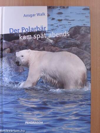 Der Polarbär kam spät abends