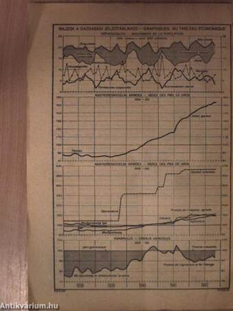 Magyar Statisztikai Szemle 1942. január-december