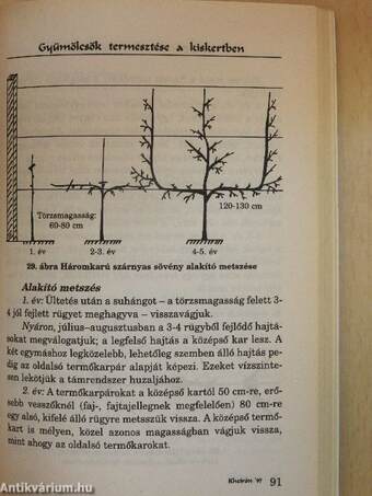 Gyümölcsök termesztése a kiskertben
