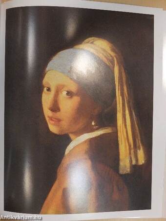 Vermeer 6 posters