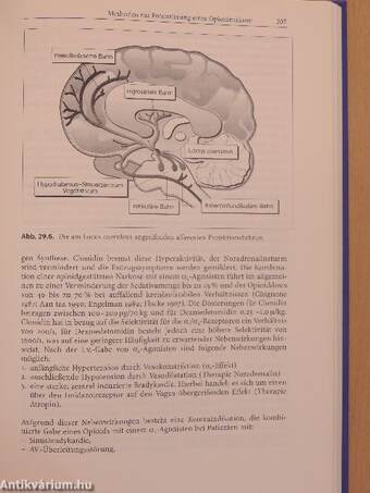 Opioide in der Medizin