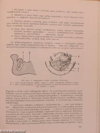 A foghiányok klinikuma és a lemezes fogpótlás