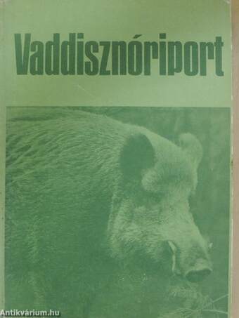 Vaddisznóriport