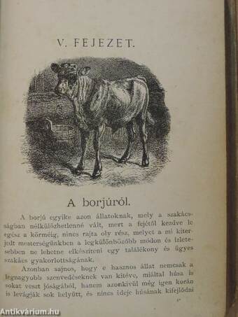 A Magyar Konyha legújabb és legczélszerűbb képes szakácskönyv