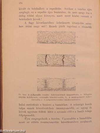 Repülőgépen az Északi sark felé