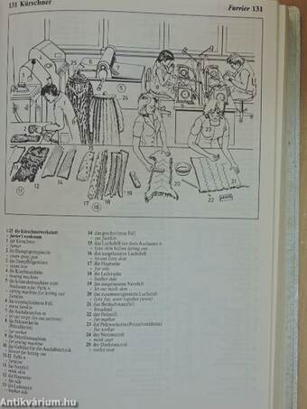 The Oxford-Duden Pictorial German-English Dictionary