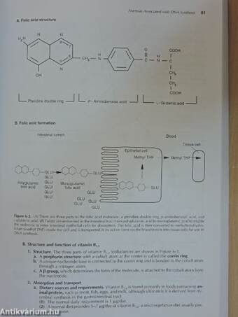 Hematology